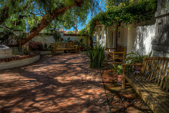 Tree Shadows