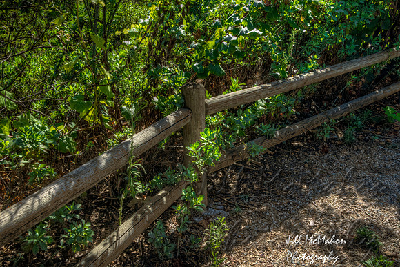 On The Fence 1