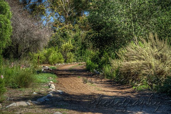 One Of Many Paths To Take