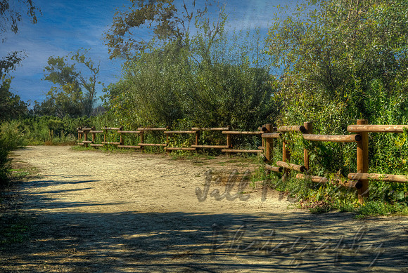Artistic Fence