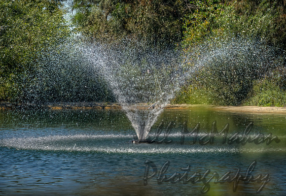 Hidden Fountain