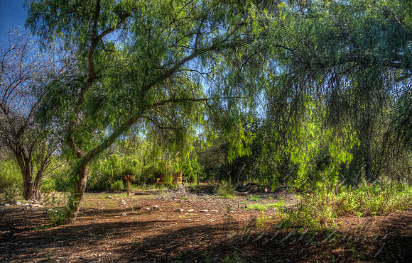 Shades Of Green