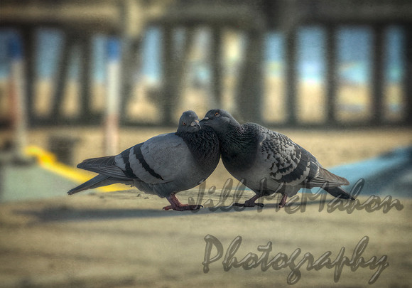 Togetherness