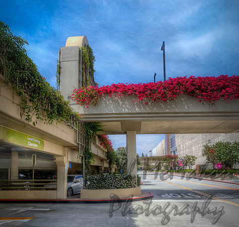 Parking Landscape
