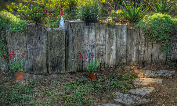 Gnome Hiding