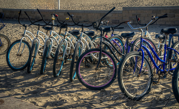 One Lavender Bicycle