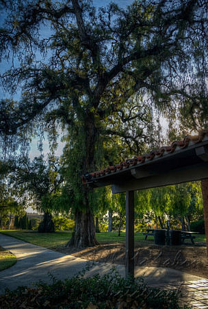 Picnic Place