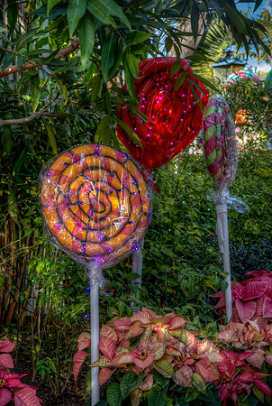 Lollipop Lollipop