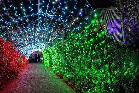 Lights On