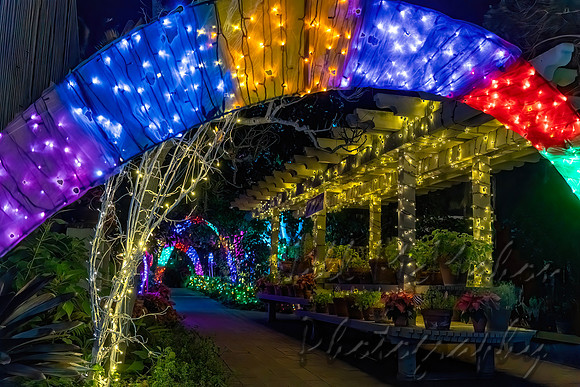 A Path Of Lights