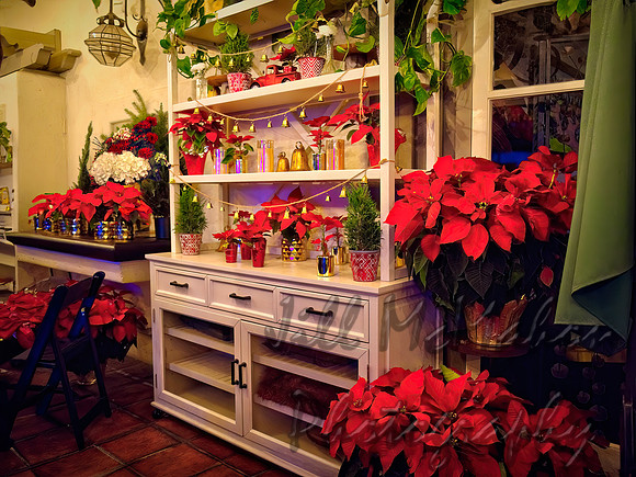 December Patio