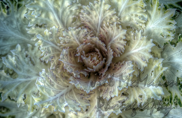 Fluffy