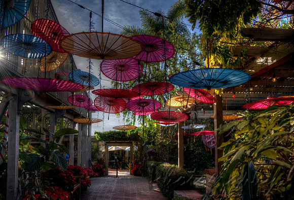 Flying Umbrellas