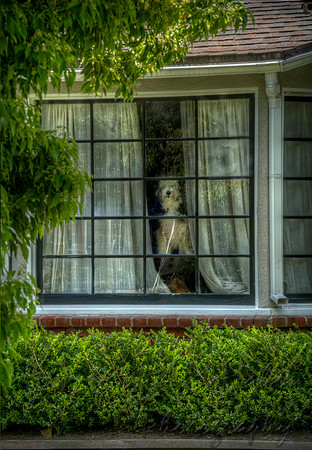 Someone Watching