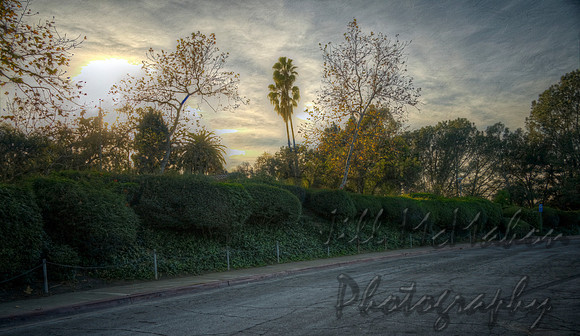 Afternoon Drama