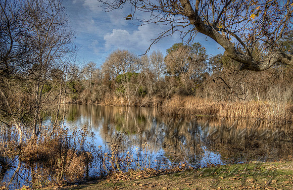 Reflection Space