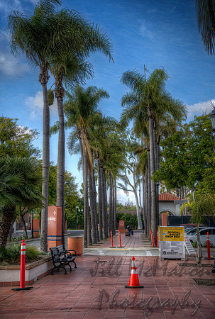 Grand Entrance