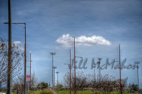 Field Lights
