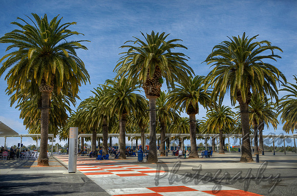 Palm Court