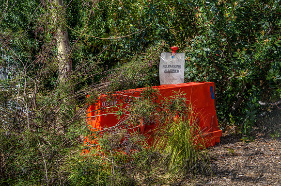 No Parking Allowed