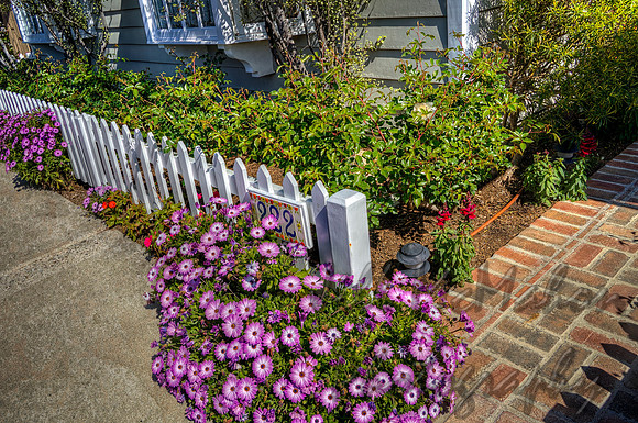 On The Corner of Daisy & White Picket Fence