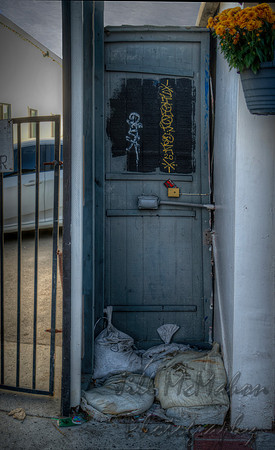 Back Door
