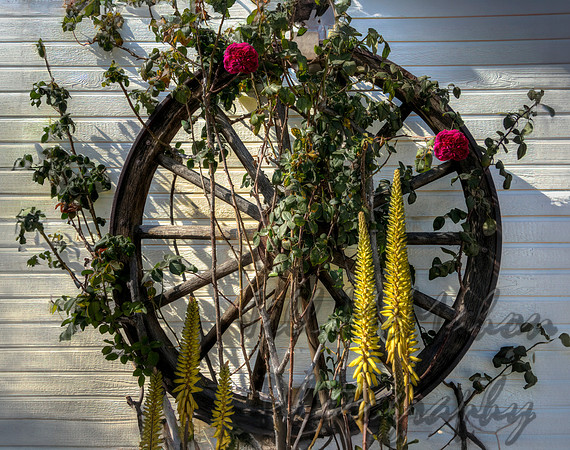 Wagon Wheel
