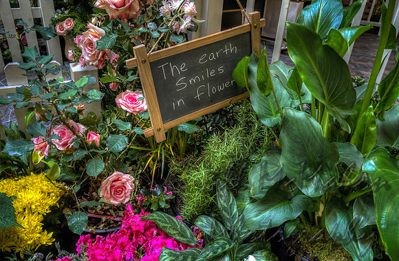 The Earth Smiles In Flowers