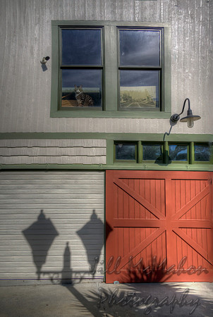 Shadows On The Barn