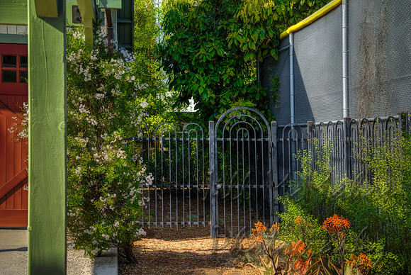 Backyard Gate