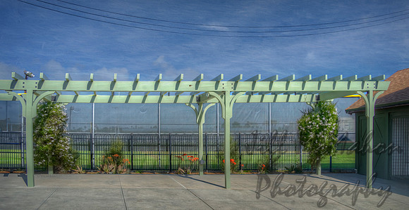Long Pergola