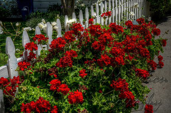 On The Fence