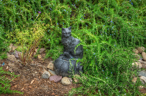 Pumpkin Cat In The Garden