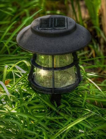 Lawn Light