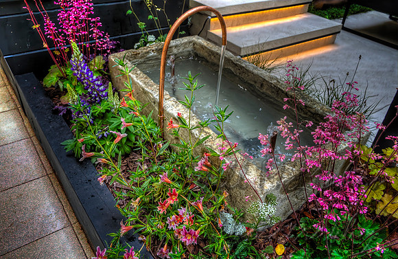 Fountain & Flowers