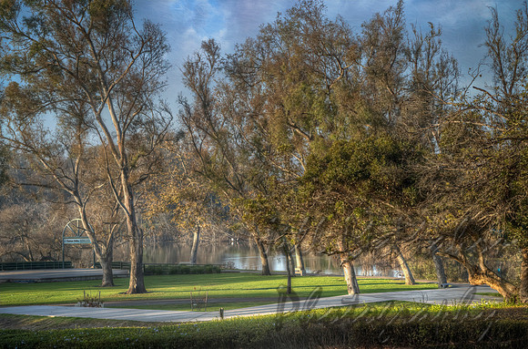 Central Park