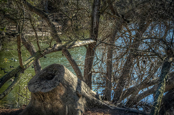 The End Of The Tree