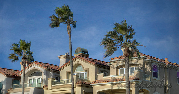 Windy Day