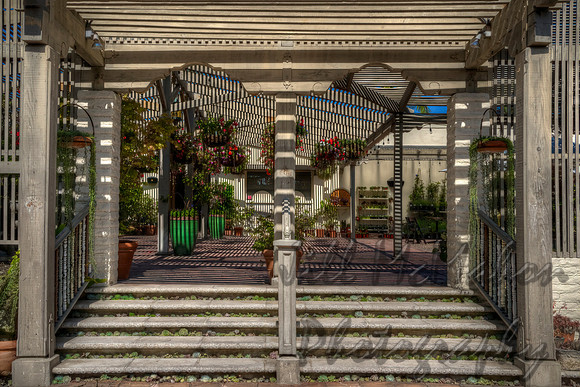 Patio Patterns