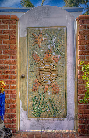 Turtle Door
