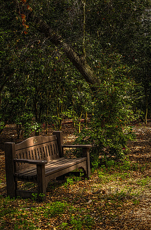 bench