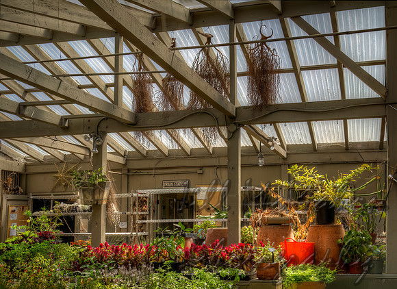 Plant & Prop Waiting Room
