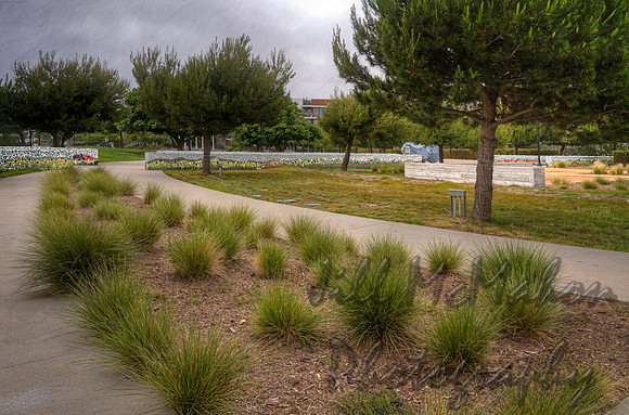 Puffy Grasses