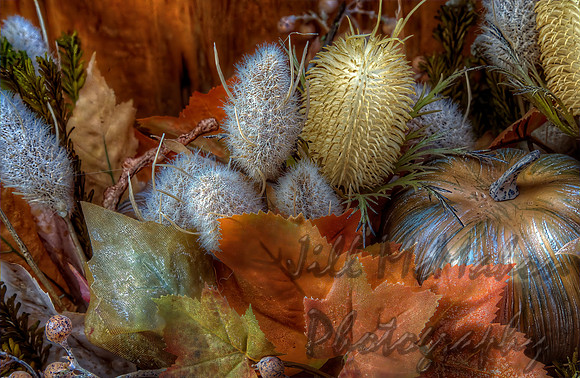 Autumn Display