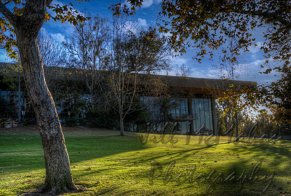 The Library Outside