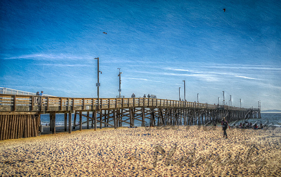 Cold Beach Day