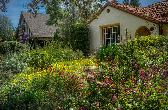 Colorful Garden