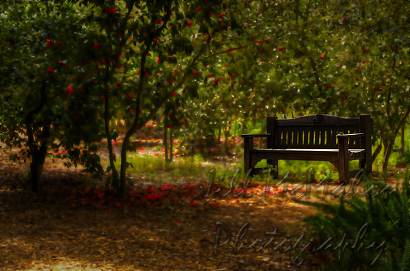 dream bench