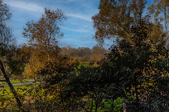 Through The Window
